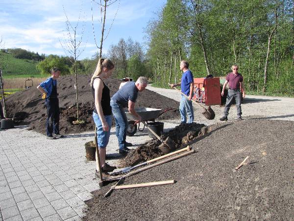 Bild 11
